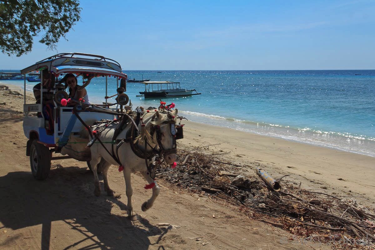 A horse-drawn carriage on a sandy beach with the ocean in the background.