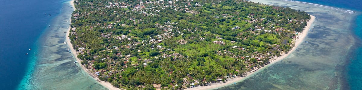 Eine Vogelperspektive einer kleinen Insel mit dichtem Wald, klarem, blauem Wasser und einem Sandstrand.