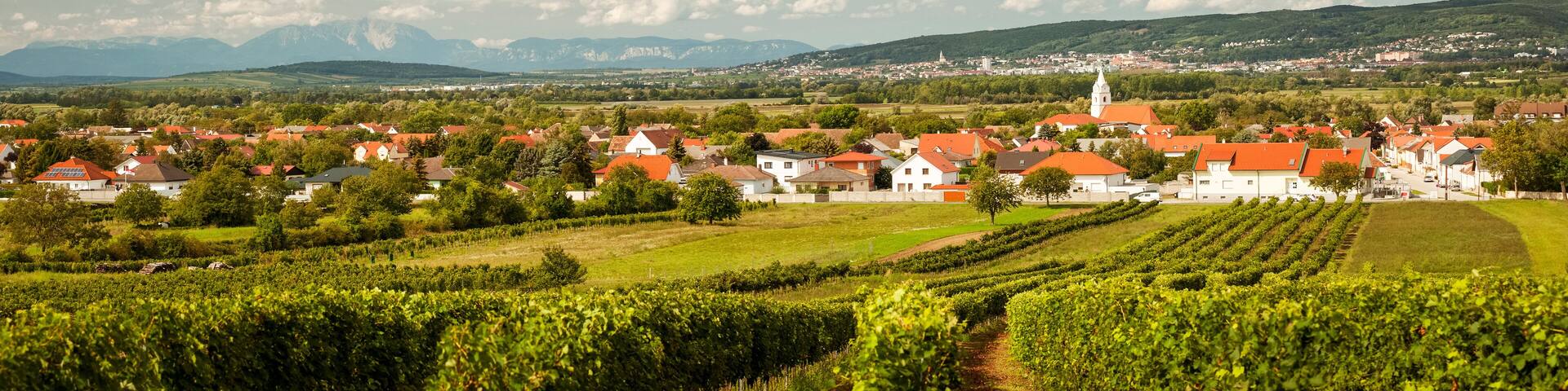 Village of Oslip with capital Eisenstadt and Leithagebirge in Burgenland Austria