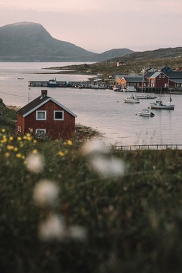 Midnight sun in Norway 
#norway #norge #visitnorway #mittnorge #ilovenorway #utno #bestofnorway #dreamchasersnorway #landscapesofnorway #ig_norway #fjord #norgefoto #ig_nordnorge #norges_fotografer #scandinavia #northernnorway #visitoslo #highlightsnorway #thebestofnorway #oslobilder #wu_norway #liveterbestute #nordnorge #norwegian #midnightsun
