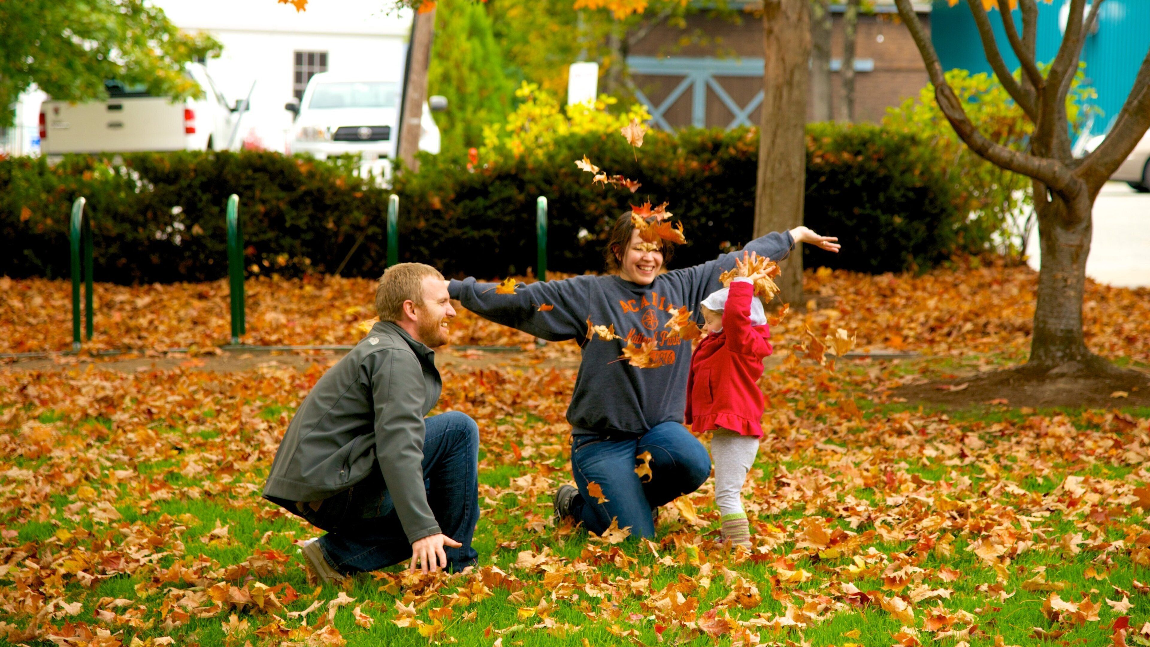 Village Green que inclui um jardim e folhas de outono assim como uma família