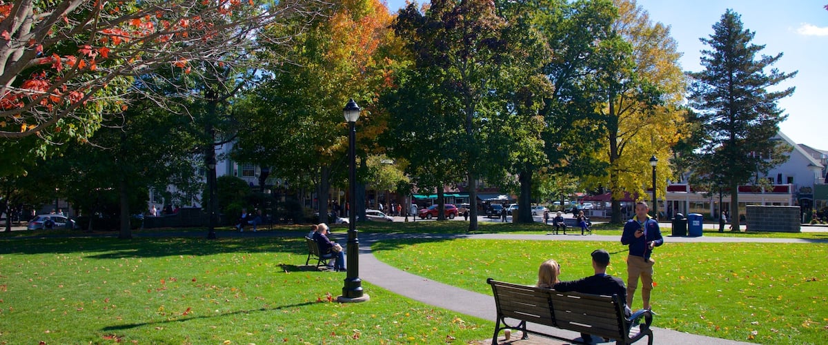 Aldea costera Village Green mostrando un jardín y también un pequeño grupo de personas