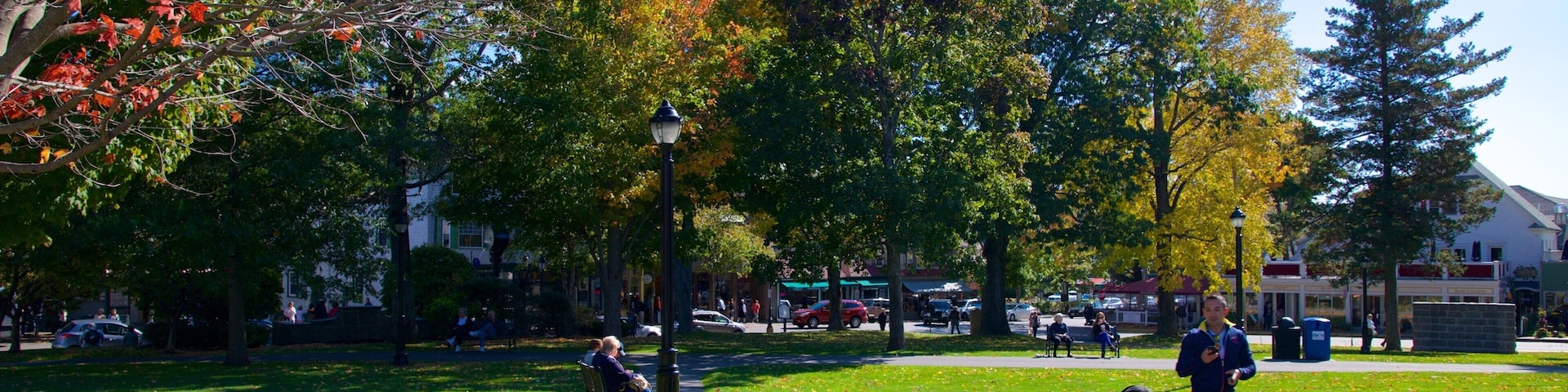 Village Green featuring a garden as well as a small group of people