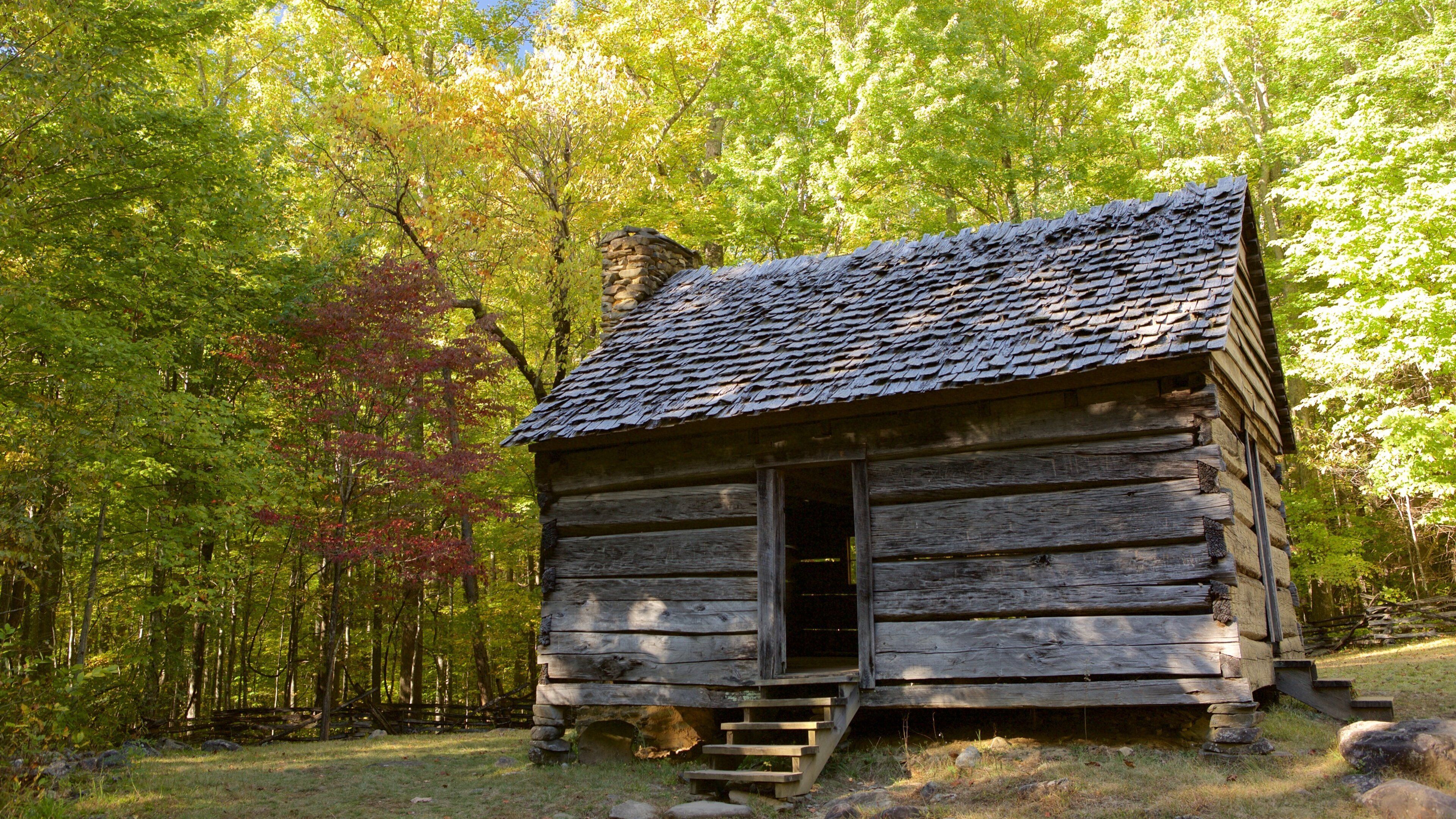 グレート スモーキー山脈国立公園 表示 静かな風景, 森林の風景 と 家屋