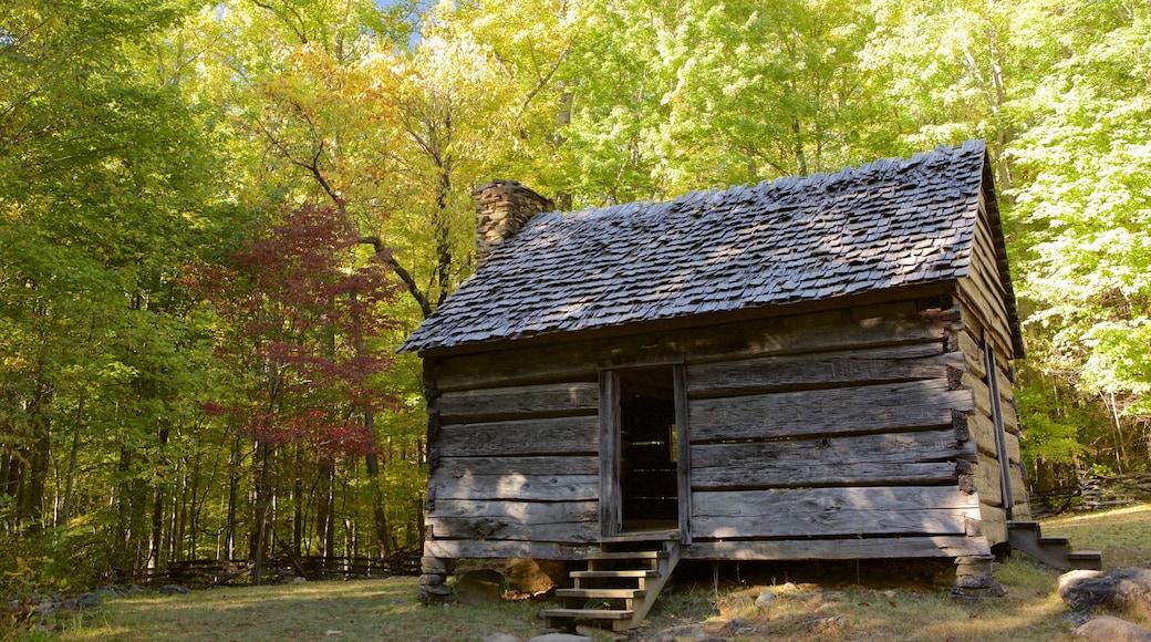 Parque Nacional Great Smoky Mountains que incluye una casa, situaciones tranquilas y bosques