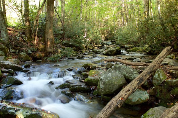 Great Smoky Mountains Nationalpark welches beinhaltet Fluss oder Bach, ruhige Szenerie und Waldmotive