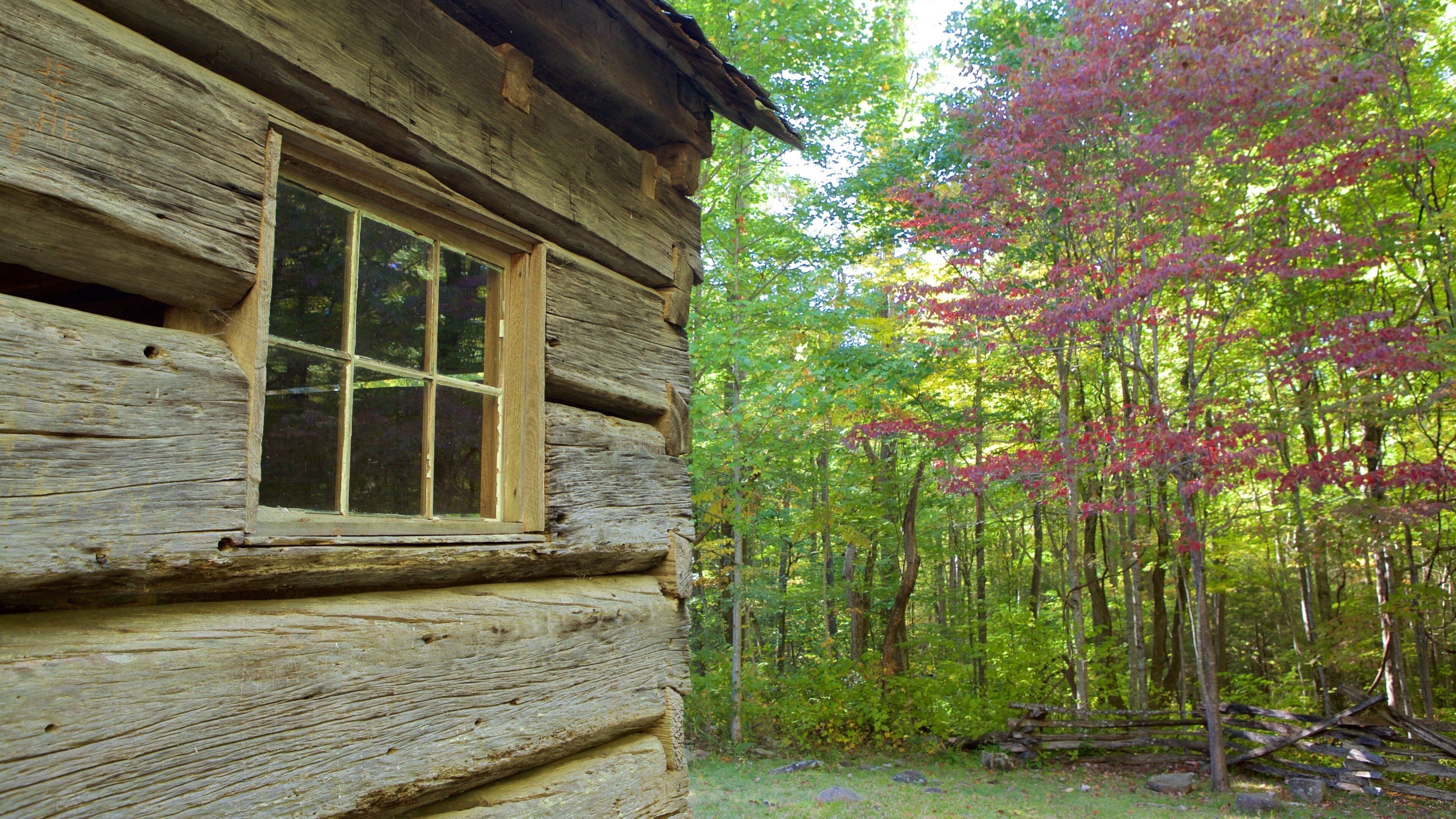 그레이트 스모키 산맥 국립공원 을 특징 한적한 풍경 과 숲