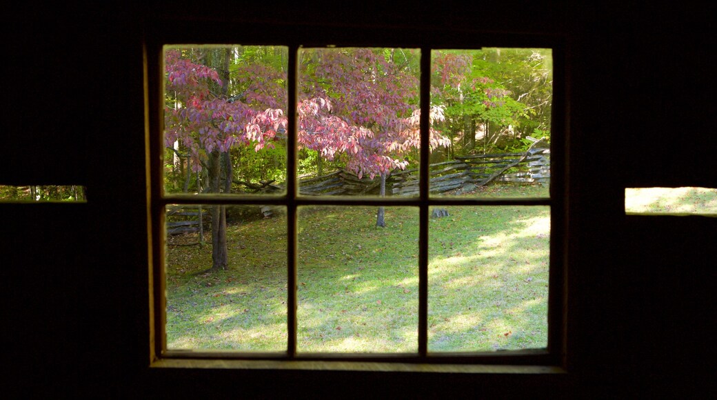 Roaring Fork Motor Nature Trail featuring a house and tranquil scenes