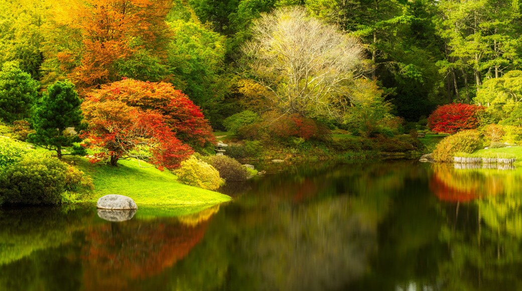 Asticou Azalea Garden