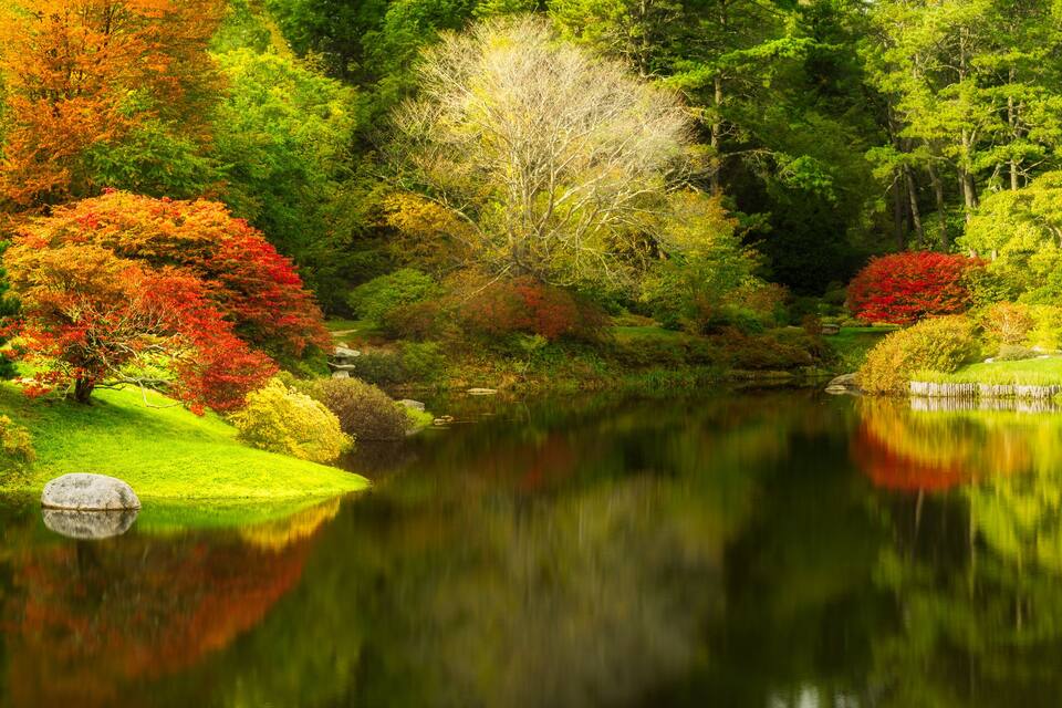 Uno stagno tranquillo circondato da vegetazione lussureggiante e alberi dai colori autunnali.
