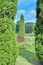 A garden with neatly trimmed hedges, a tall conifer, and vibrant red flowers.