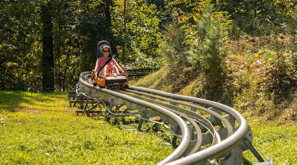 Smoky Mountain Alpine Coaster