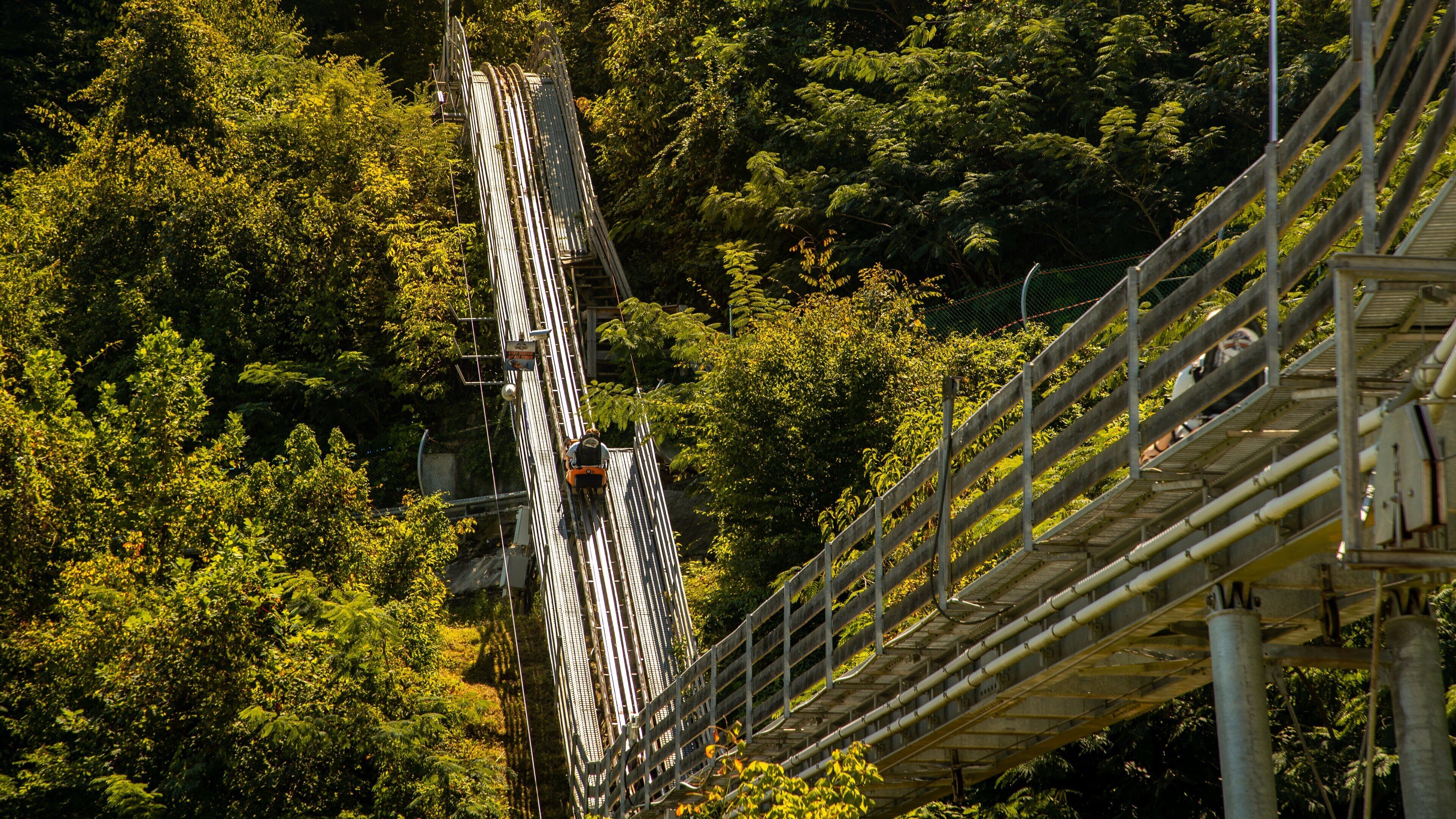 Smoky Mountain Alpine Coaster