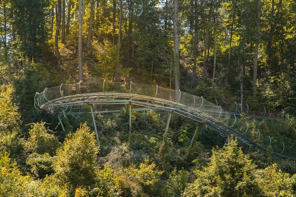 Des montagnes russes au cœur d’une forêt.
