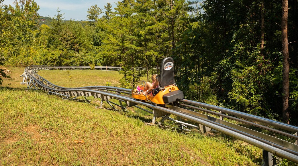 Smoky Mountain Alpine Coaster
