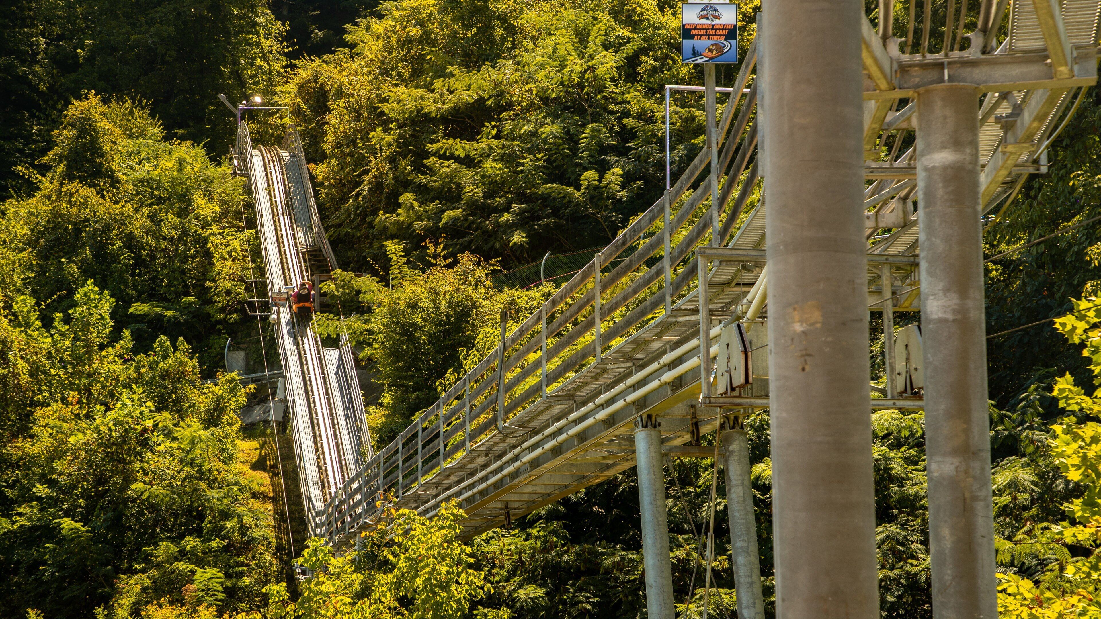 Smoky Mountain Alpine Coaster