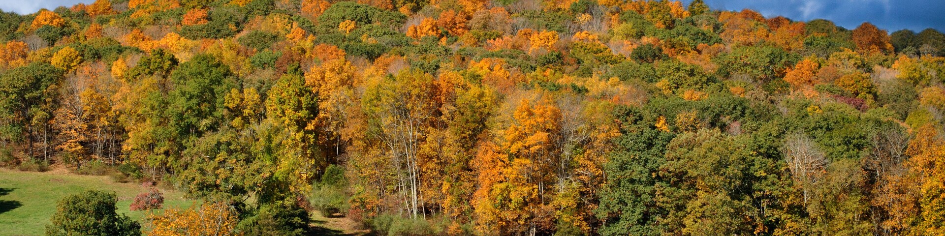 Stormy Clouds Over a Autumn Scenic Lanscape