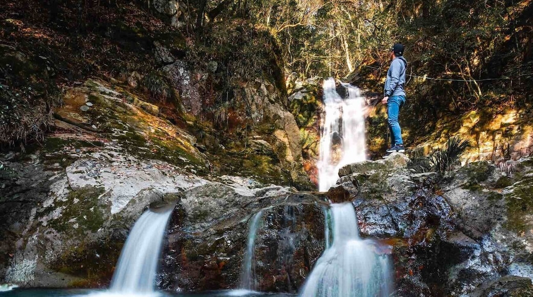 beautiful double waterfall
#OnTheRoad
