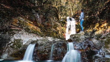 beautiful double waterfall
#OnTheRoad