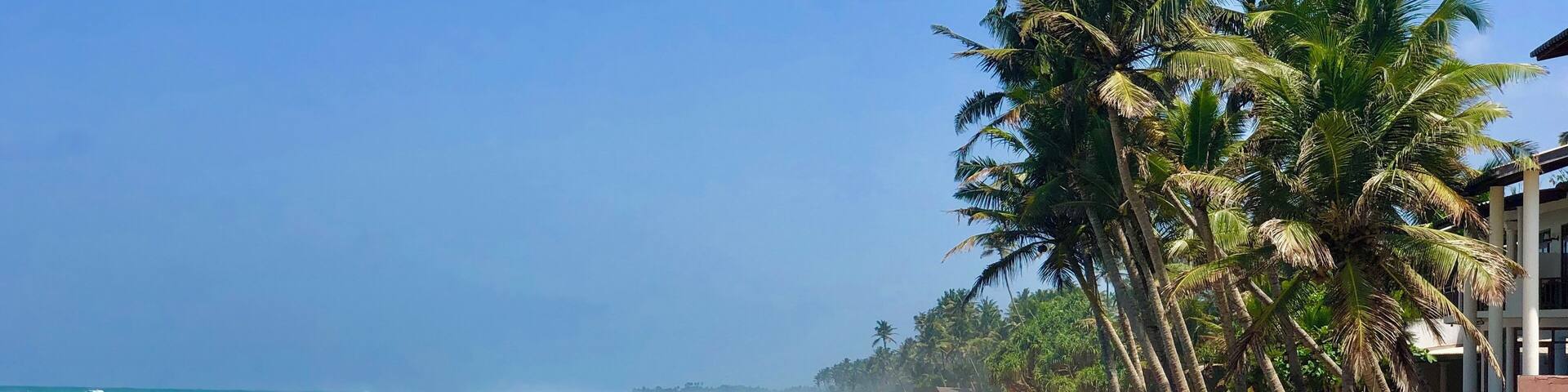 A beach with waves, palm trees, and a building.