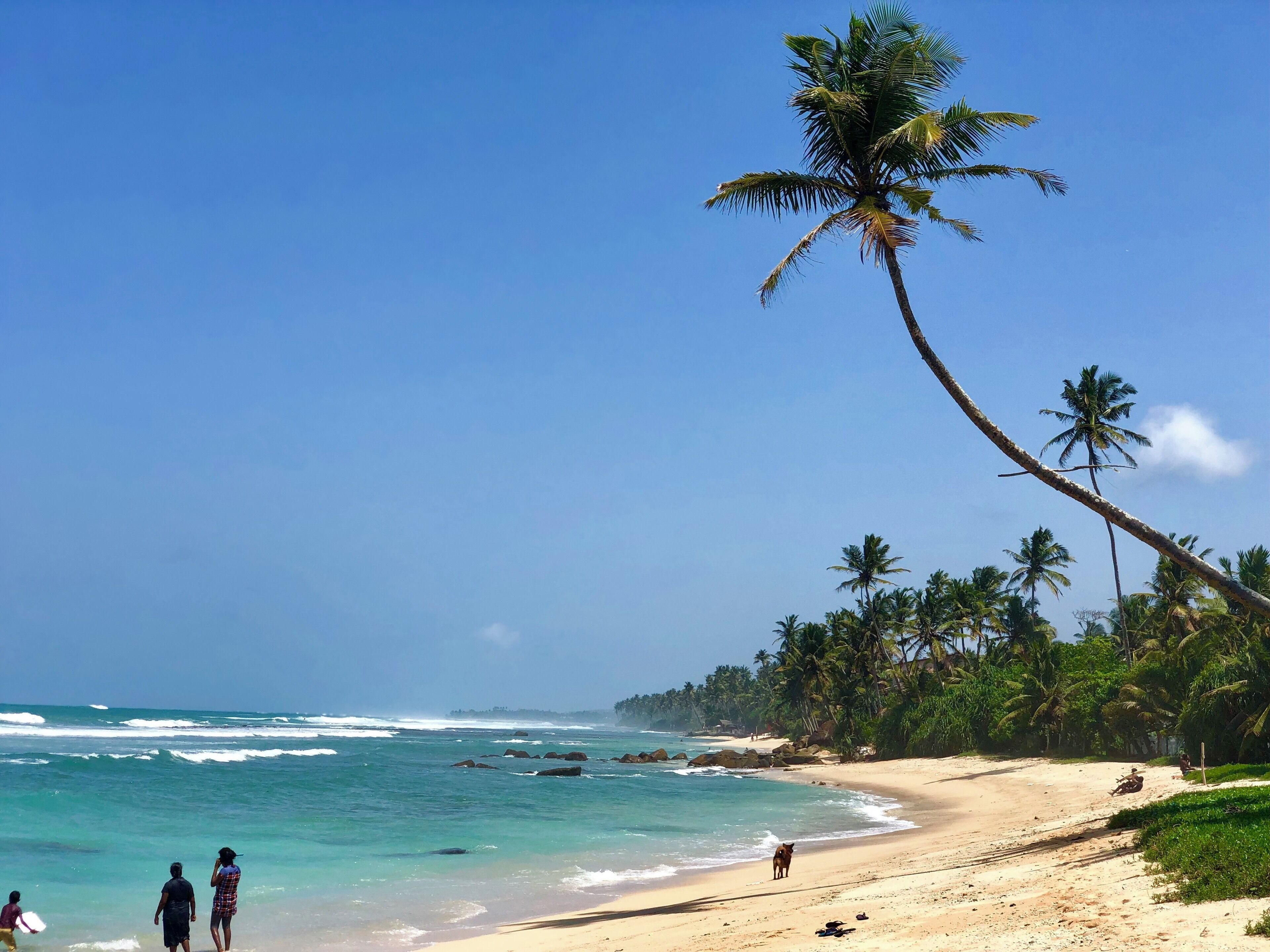 A beach with clear turquoise waters, palm trees, and a sandy shore.