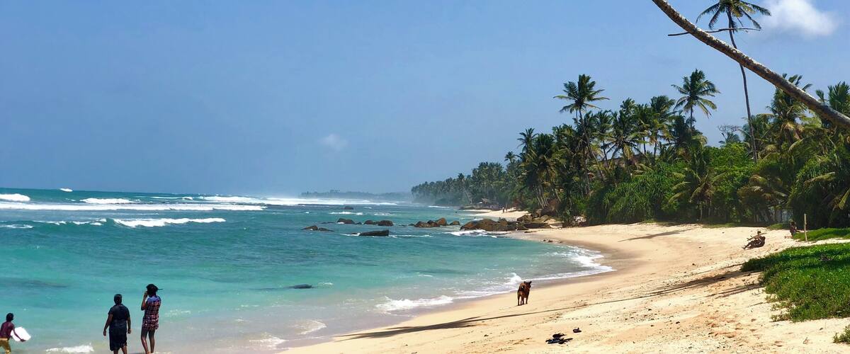 A beach with clear turquoise waters, palm trees, and a sandy shore.