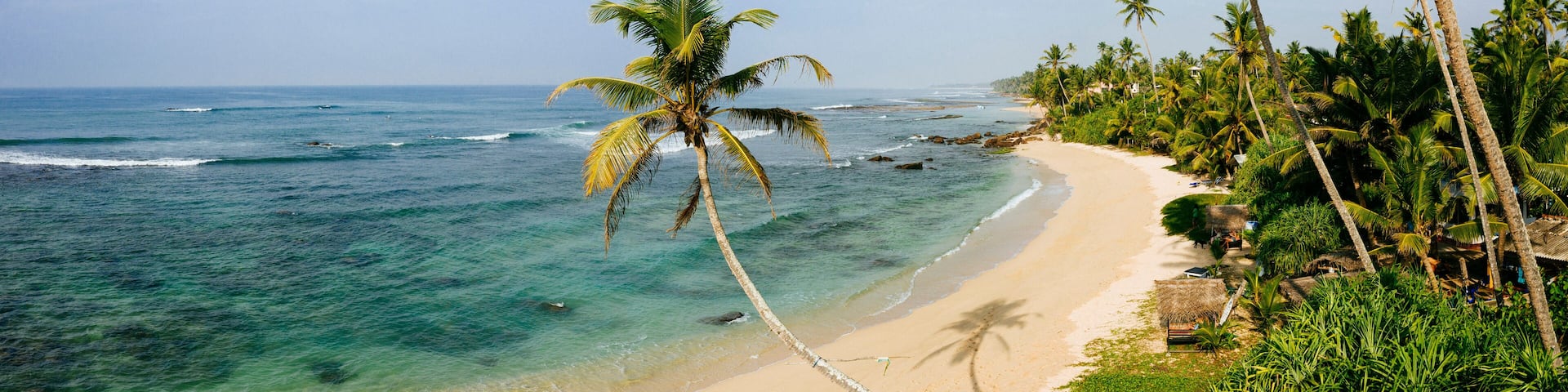 Sri Lanka beach and palm trees
