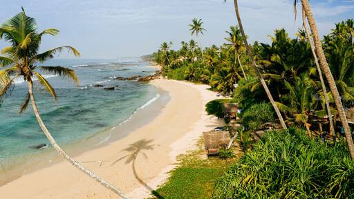 Sri Lanka beach and palm trees