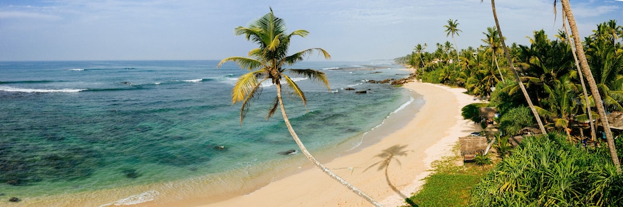 Sri Lanka beach and palm trees