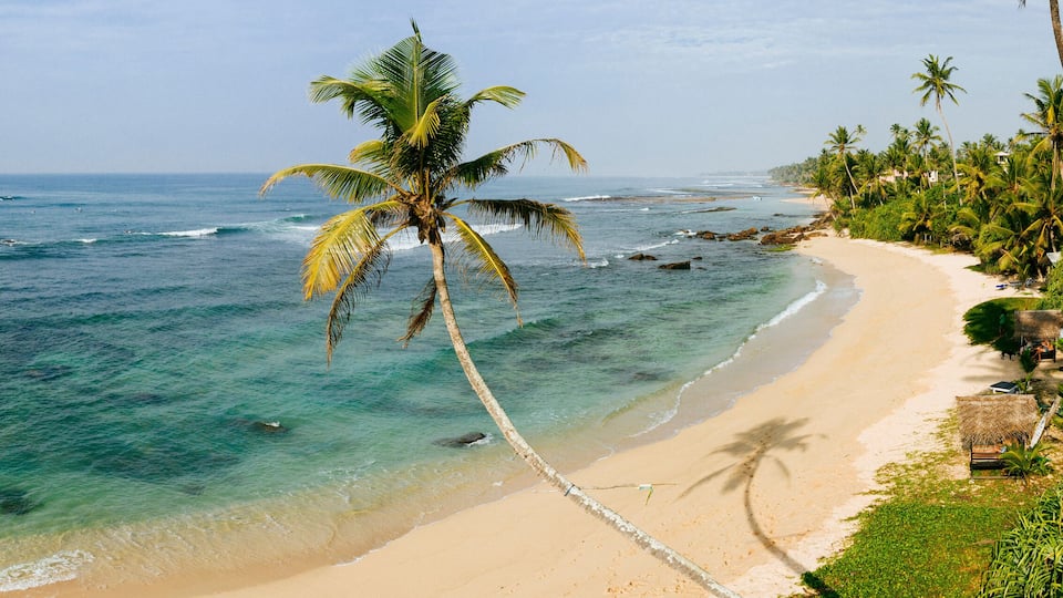 A beach with clear turquoise waters, a sandy shore, and palm trees.