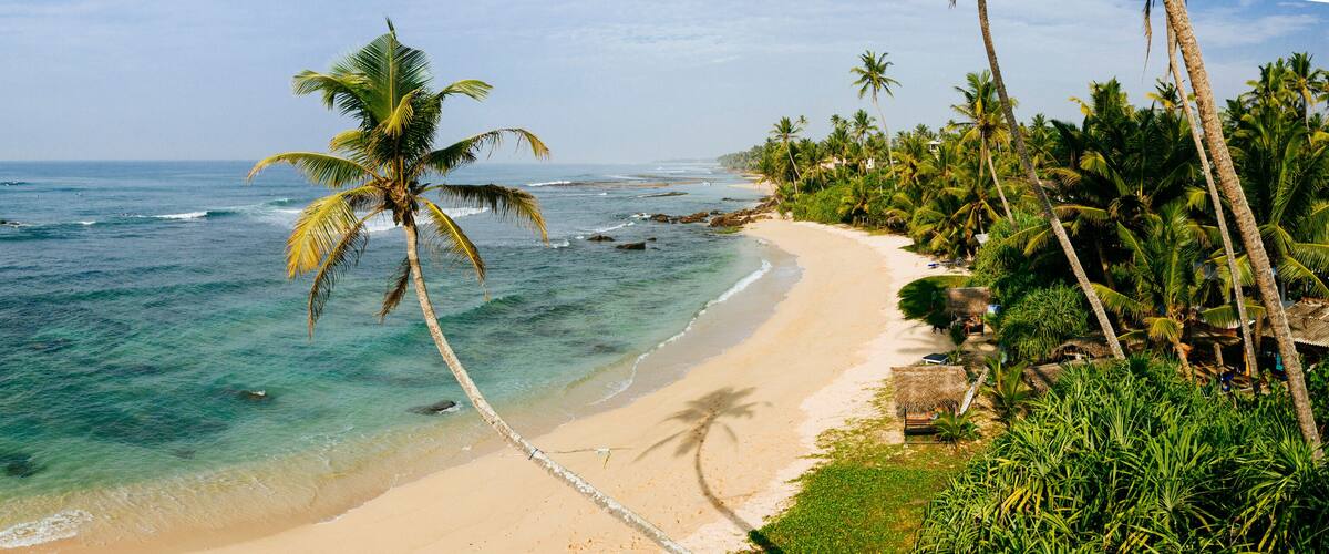 A beach with clear turquoise waters, a sandy shore, and palm trees.