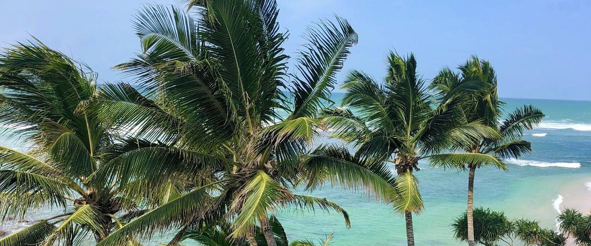 Nice view from the hotel’s roof terrace