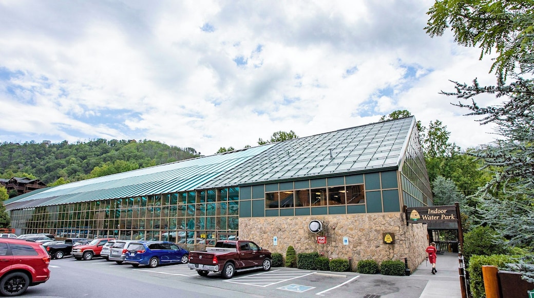 Taman Air Tertutup Wild Bear Falls