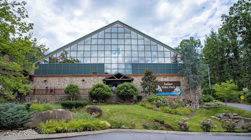 Parque aquático Wild Bear Falls Indoor