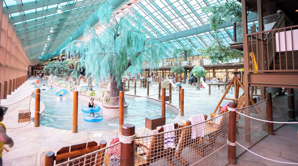 Taman Air Tertutup Wild Bear Falls