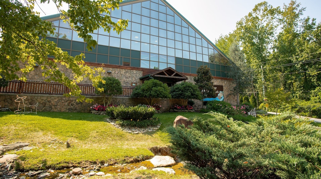 Wild Bear Falls Indoor Water Park which includes a park