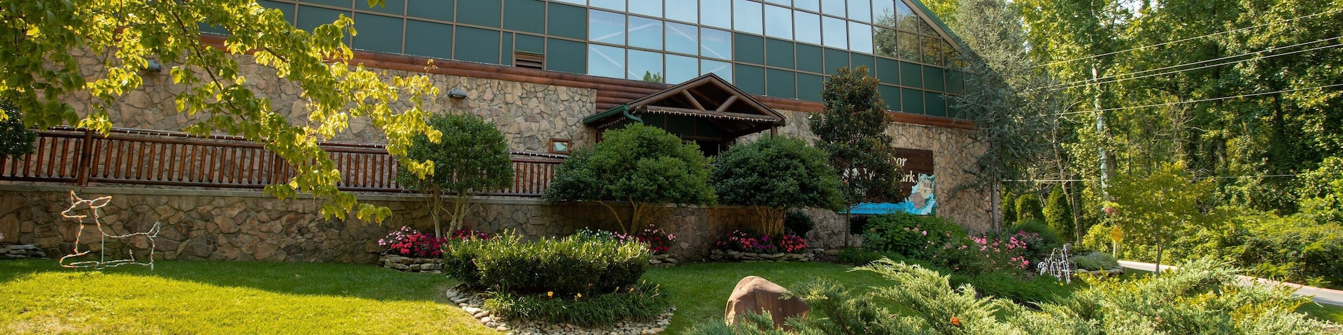 Wild Bear Falls Indoor Water Park which includes a park