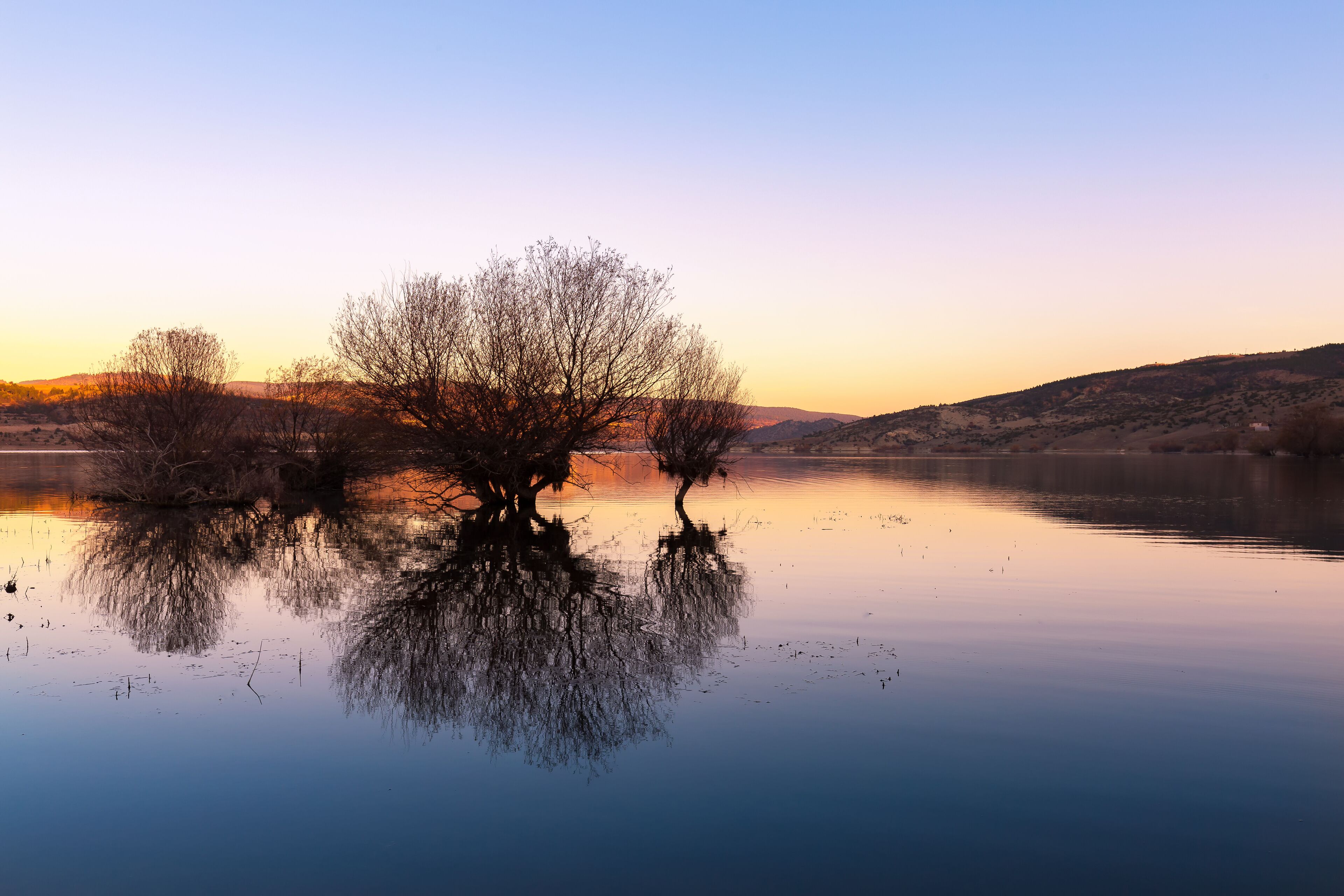 A calm lake with a tree in the center, surrounded by hills.
