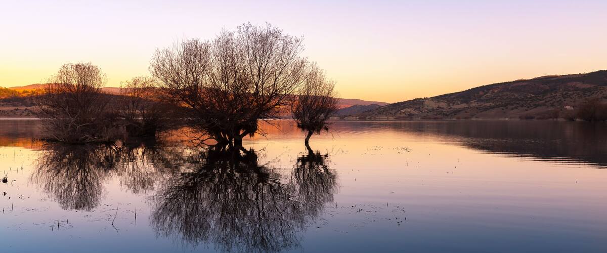 A calm lake with a tree in the center, surrounded by hills.