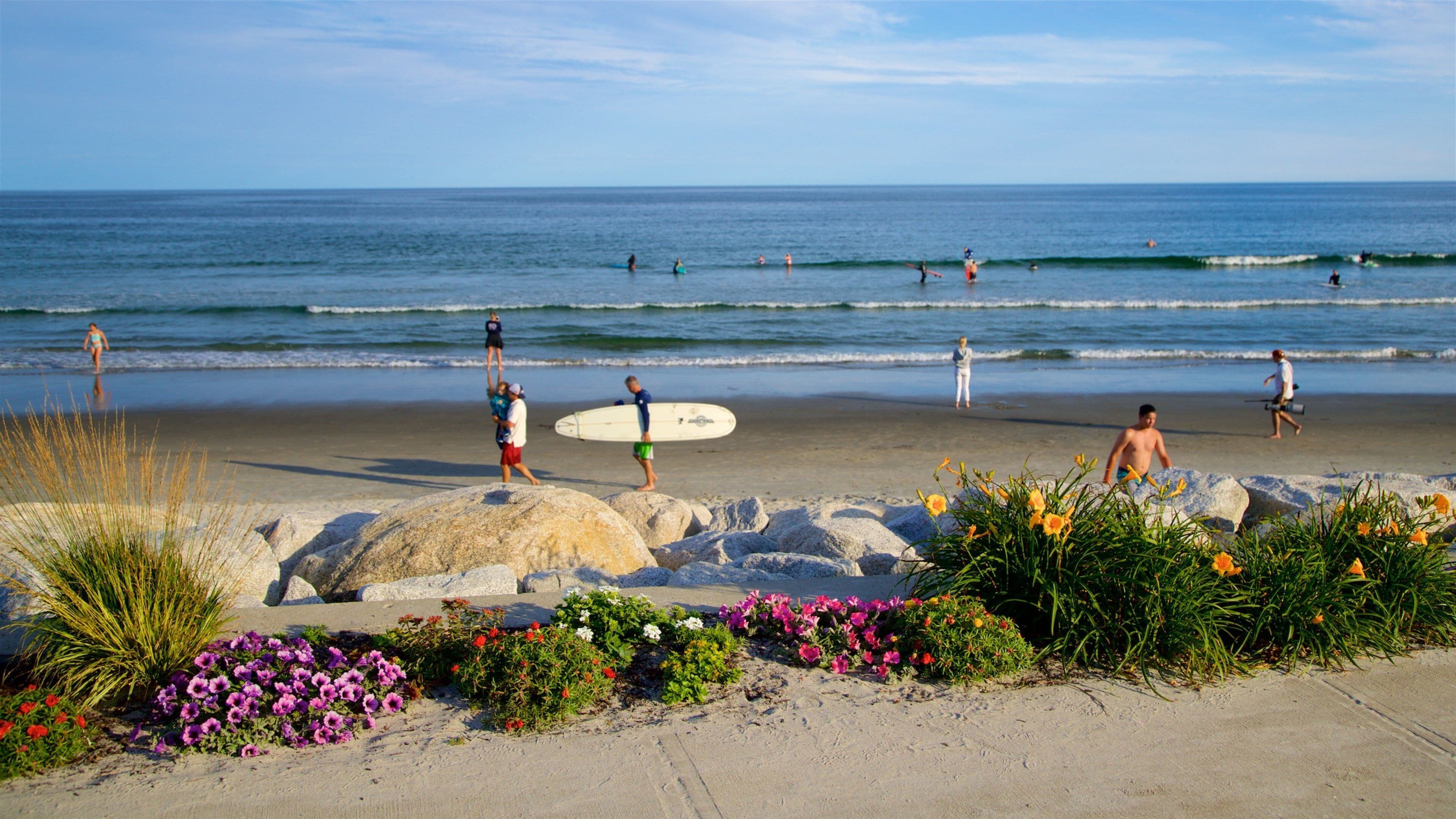 ヒギンズ ビーチ どの含み 砂浜, 野花 と 海岸線の眺め