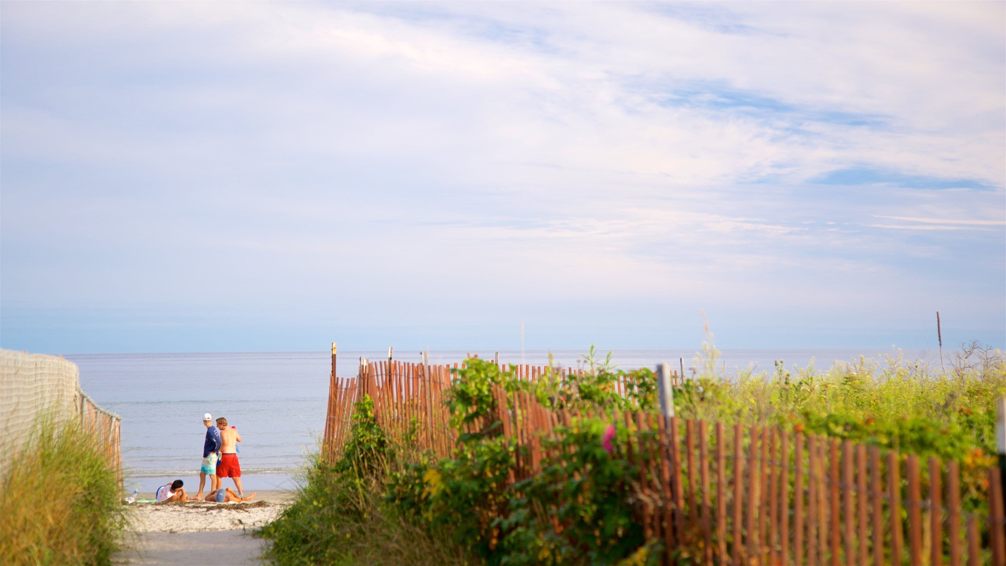 Higgins Beach showing general coastal views as well as a small group of people
