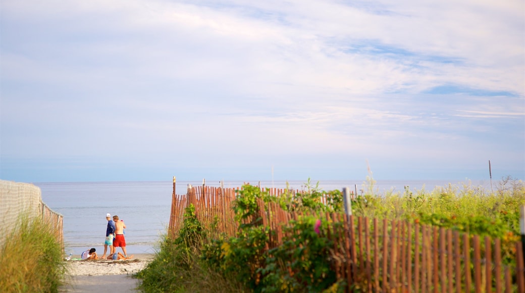 Higgins Beach showing general coastal views as well as a small group of people
