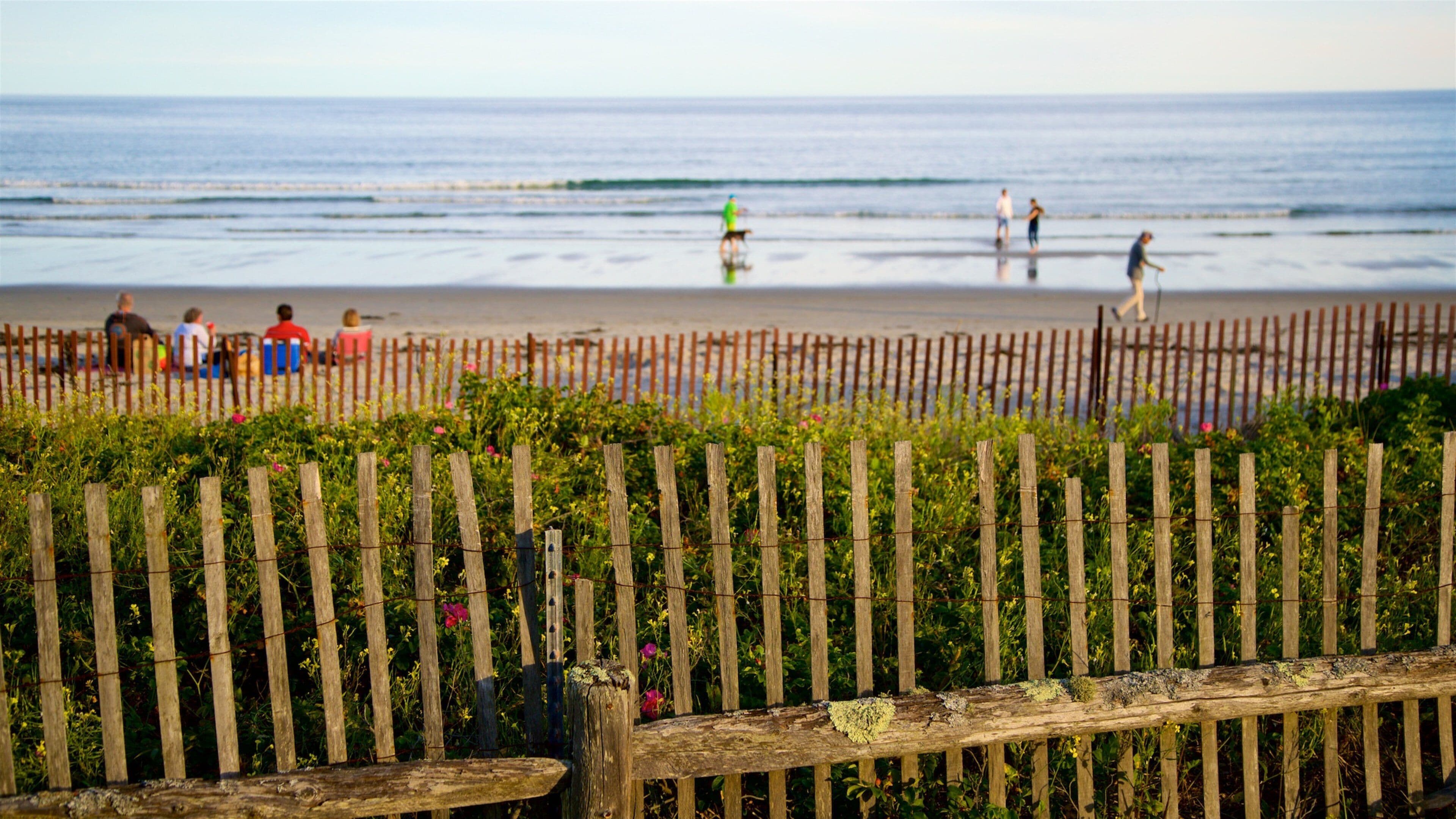 Een strand met een houten omheining op de voorgrond, mensen die in het water lopen en spelen, en een heldere lucht.