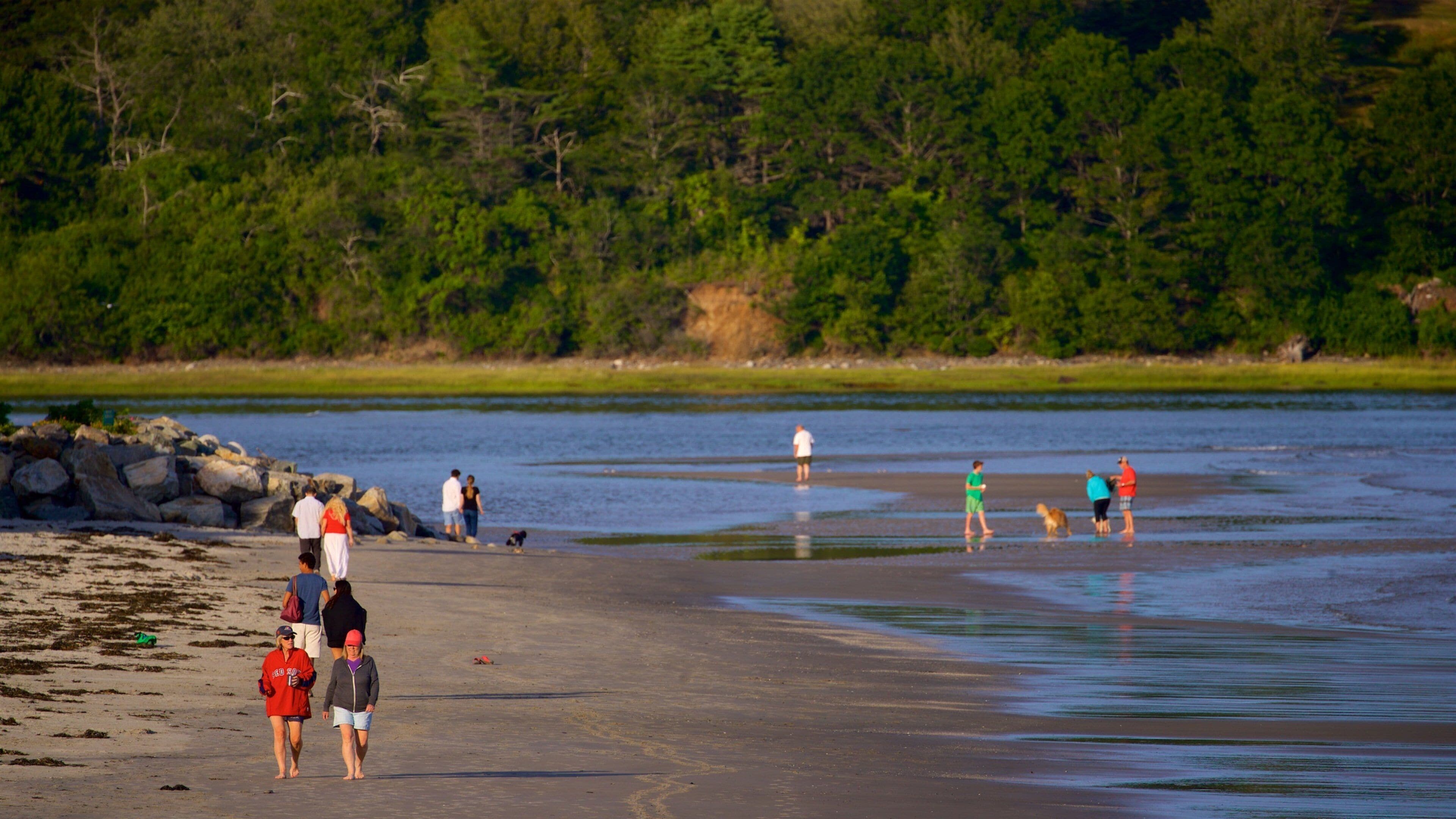 <h2>Top places to stay near the beach</h2>