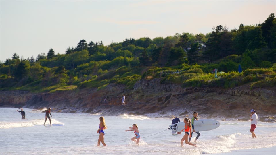 Praia de Higgins caracterizando paisagens litorâneas e natação assim como um pequeno grupo de pessoas