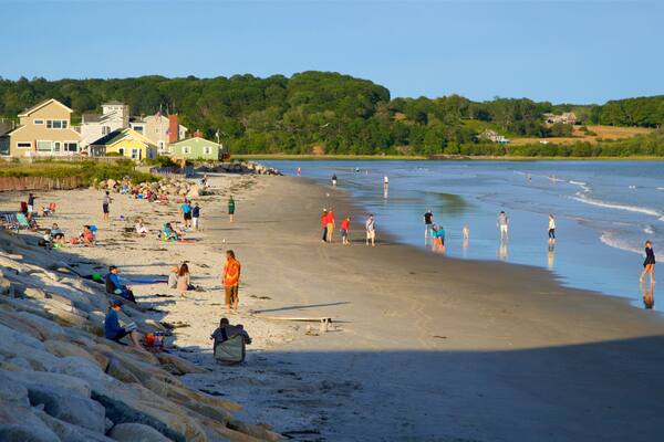 Plage de Higgins mettant en vedette vues littorales et plage aussi bien que petit groupe de personnes