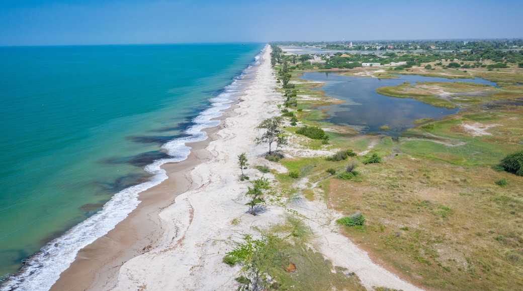 Aerial view of Atlantic coast near Palmarin. Saloum Delta National Park, Joal Fadiout, Senegal. Africa. Photo made by drone from above.