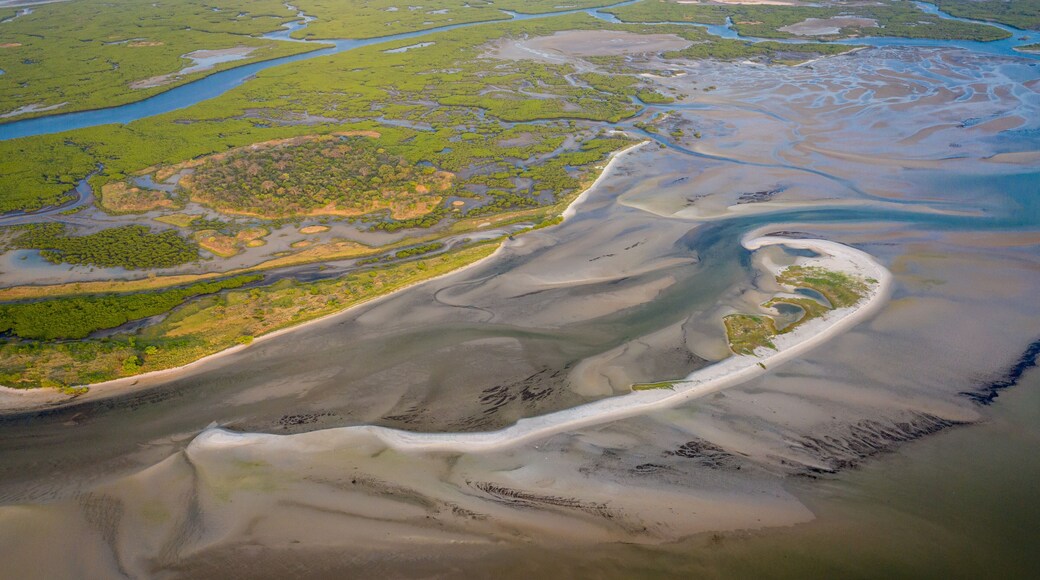 Aerial view of mangrove forest in the Saloum Delta National Park, Joal Fadiout, Senegal. Photo made by drone from above. Africa Natural Landscape.