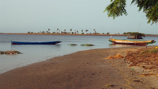Pirogues sénégalaises - 2