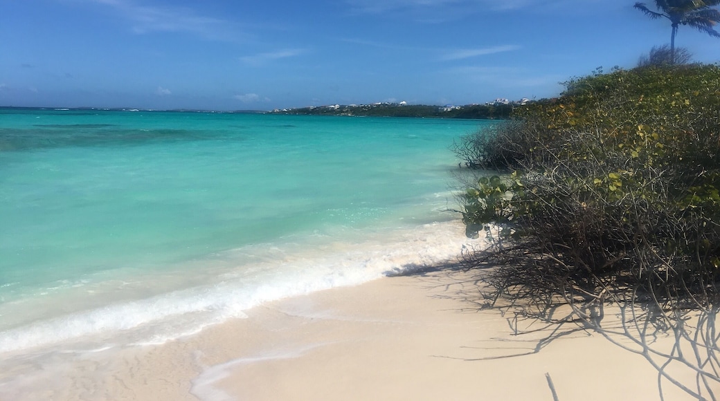 Never ever seen such deep turquoise blue in my life. Northern end of Shoal Bay, one of the most famous beaches of the Caribbean.